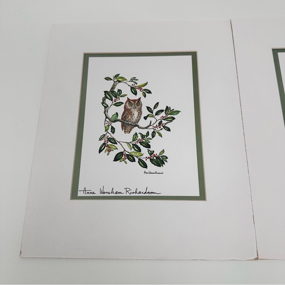 Anne Worsham Richardson Screech Owl and Saw Whet Owl
Signed Prints - Picture 2 of 16